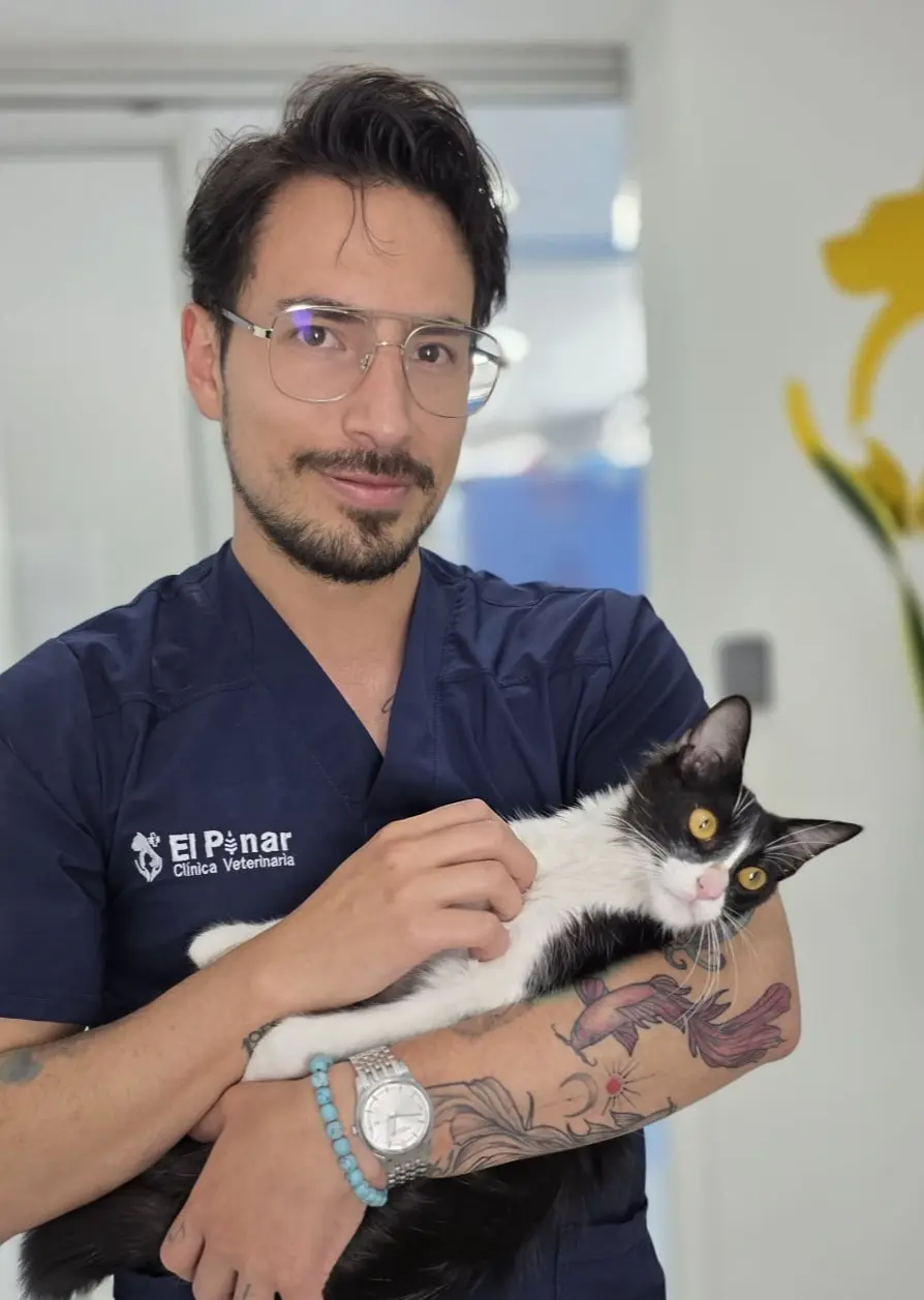 Doctor de gatos -  Clinica de especialdiades Veterinarias 