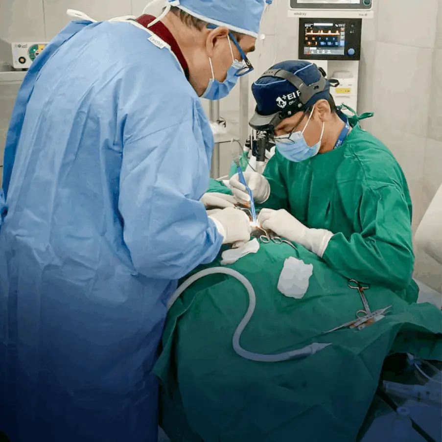 Perrito con Neurólogo canino - Clinica de especialdiades Veterinarias 